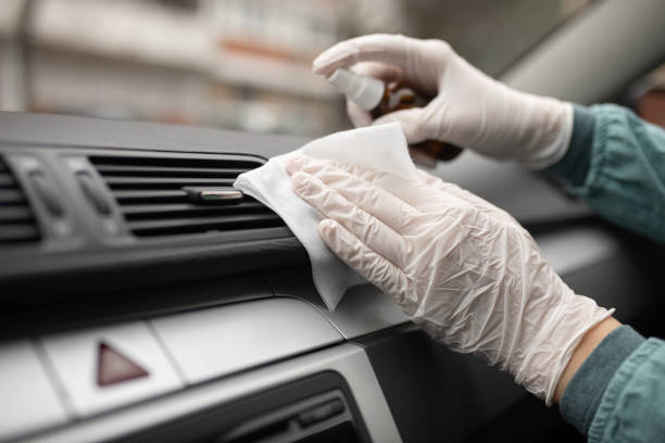 Best Air Duct Mold Removal  in Rosebud, SD
